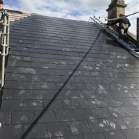 dsnewroof1b46