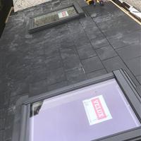 dsnewroof2cvel7